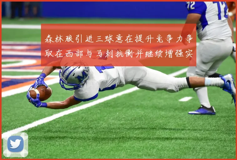 森林狼引进三球意在提升竞争力争取在西部与马刺抗衡并继续增强实力