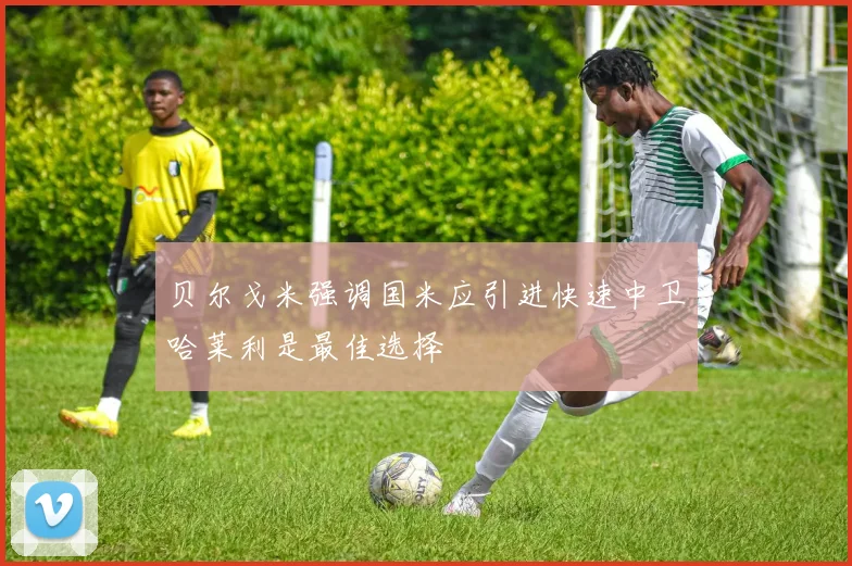 贝尔戈米强调国米应引进快速中卫哈莱利是最佳选择