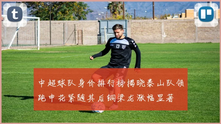 中超球队身价排行榜揭晓泰山队领跑申花紧随其后铜梁龙涨幅显著