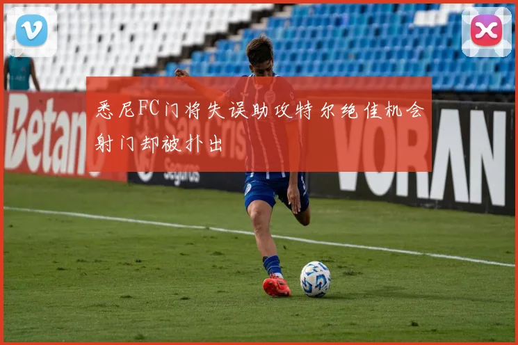 悉尼FC门将失误助攻特尔绝佳机会射门却被扑出